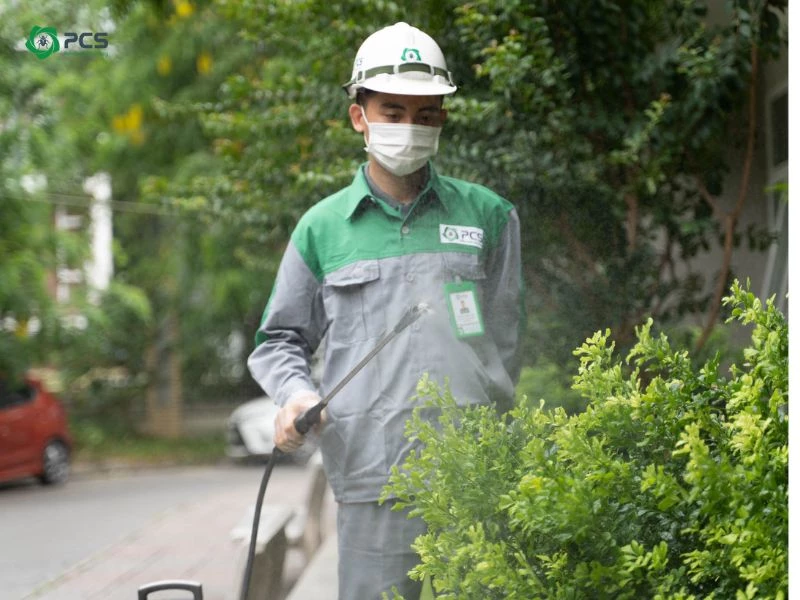 công ty xử lý côn trùng