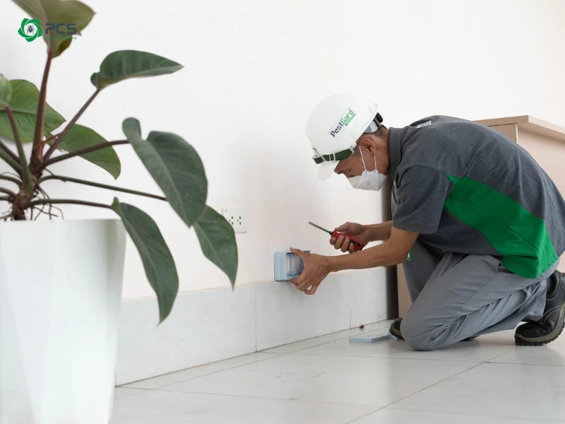 Diệt mối tận gốc