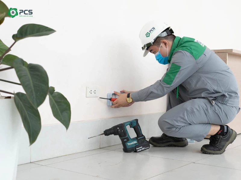 Diệt mối tại nhà tận gốc, nhanh chóng, giá tốt