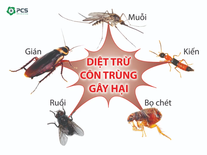 Thuốc diệt côn trùng | Tất tần tật những điều bạn cần biết