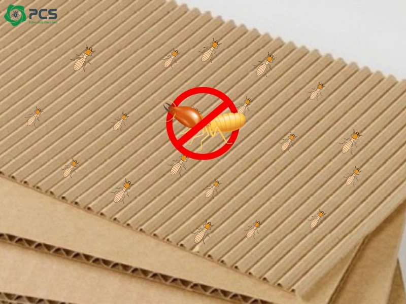 Cách diệt mối tại nhà 