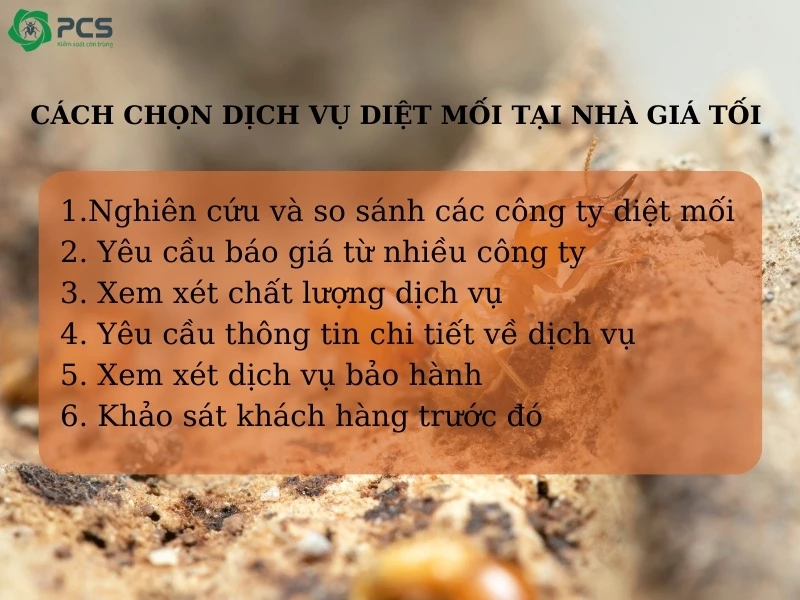 Diệt mối tại nhà giá bao nhiêu 