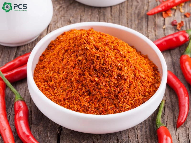 Top 10 cách diệt mối đất tại nhà bạn nên biết