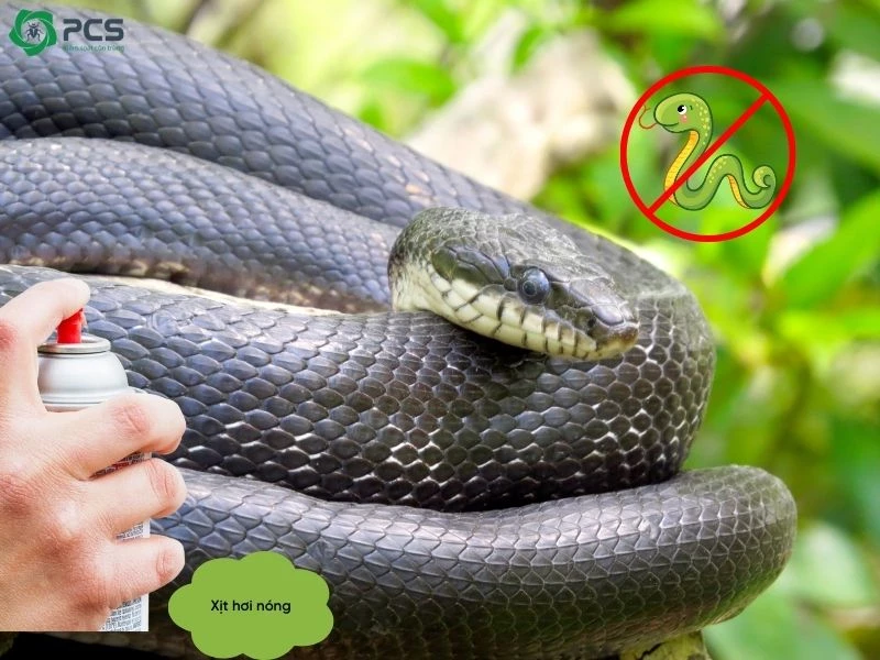Diệt rắn hiệu quả với 20 c&aacute;ch l&agrave;m sau - PCS Việt Nam