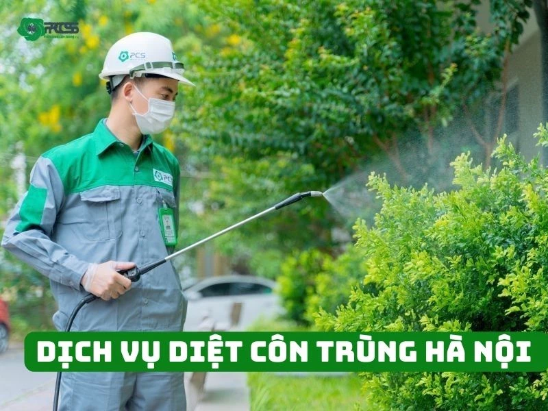 Dịch vụ diệt côn trùng Hà Nội Tận gốc, Giá tốt