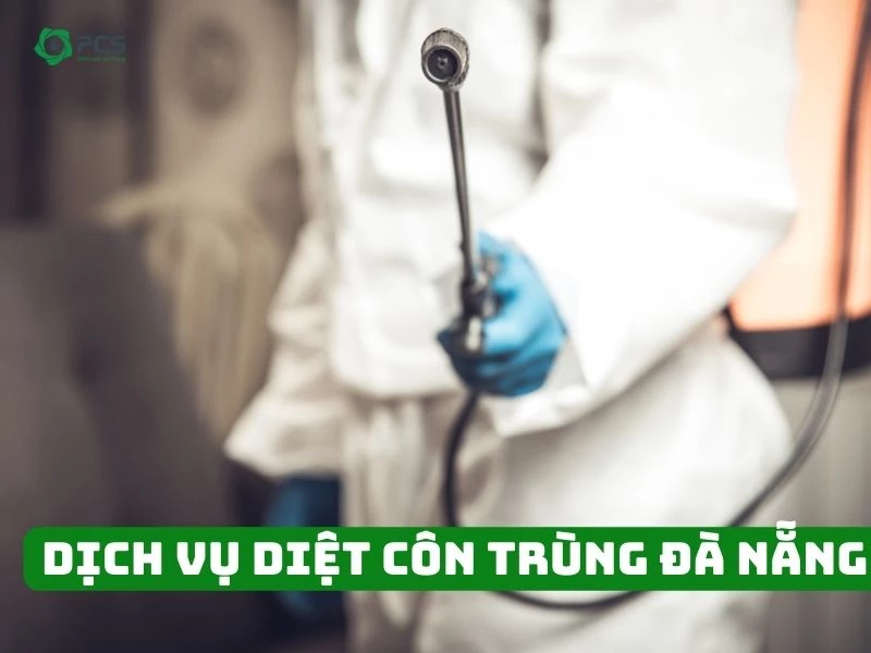 Dịch vụ diệt côn trùng Đà Nẵng chuyên nghiệp, giá tốt