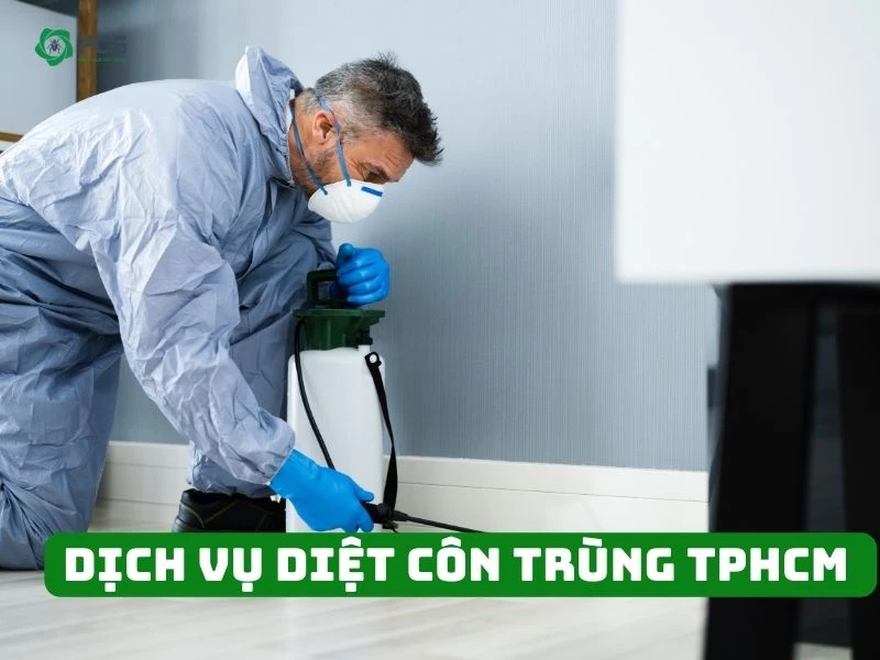 Diệt côn trùng TPHCM giá tốt mà bạn không nên bỏ qua