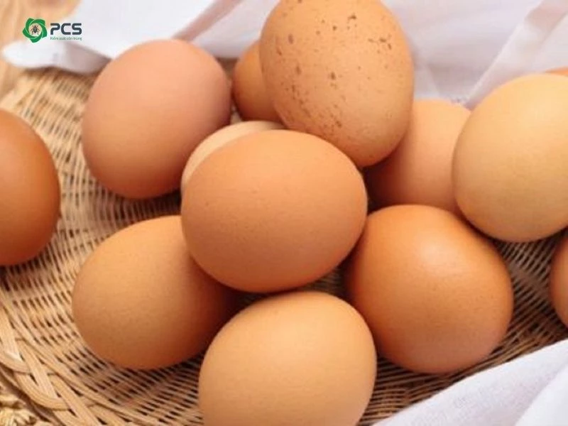 cách diệt gián đất trong đất trồng rau bằng bẫy bánh trứng tự chế