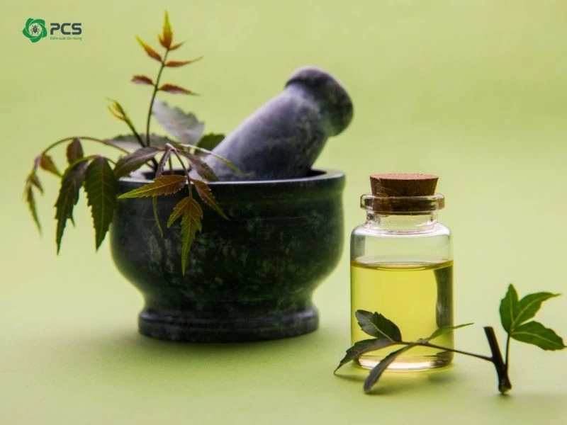 sử dụng dầu neem để diệt gián đất và côn trùng