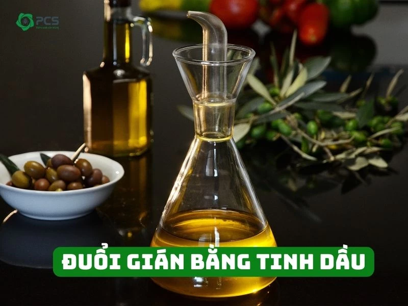 Đuổi gián bằng tinh dầu chỉ mất 5 phút mỗi ngày