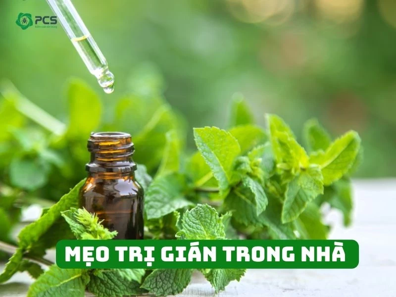 13 Mẹo trị gián trong nhà an toàn bạn không nên bỏ qua