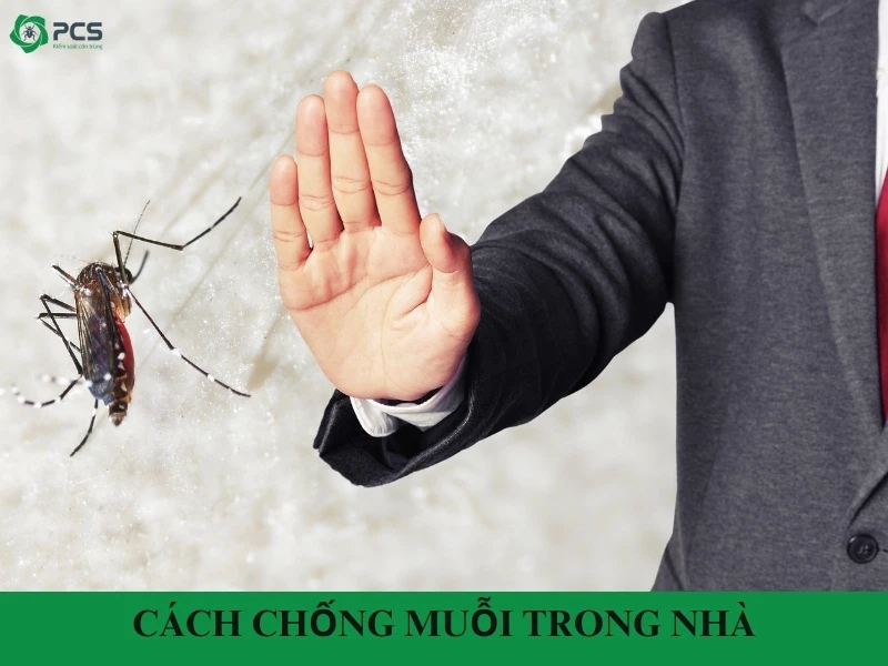 12 Cách chống muỗi trong nhà an toàn & hiệu quả