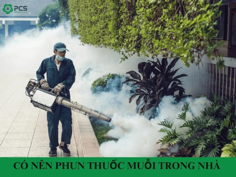 Có nên phun thuốc muỗi trong nhà hay không?