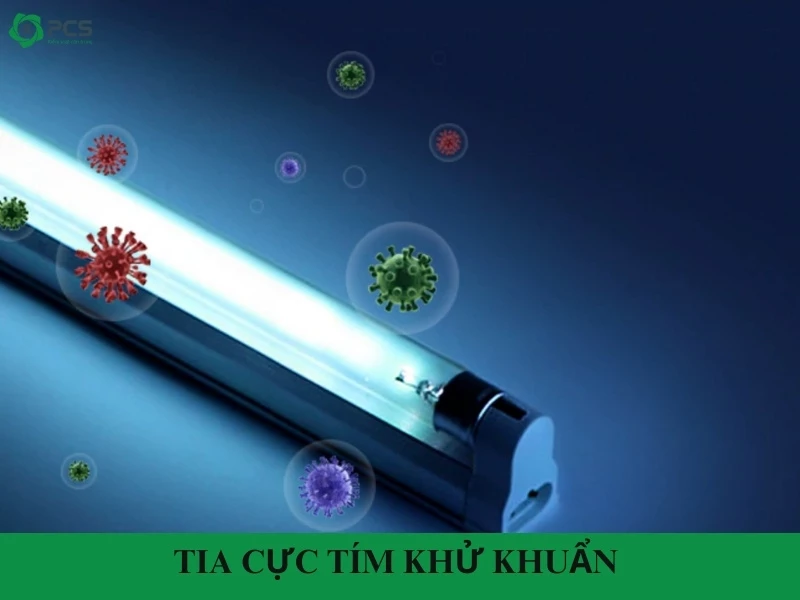 Tia cực tím khử khuẩn có hiệu quả không?