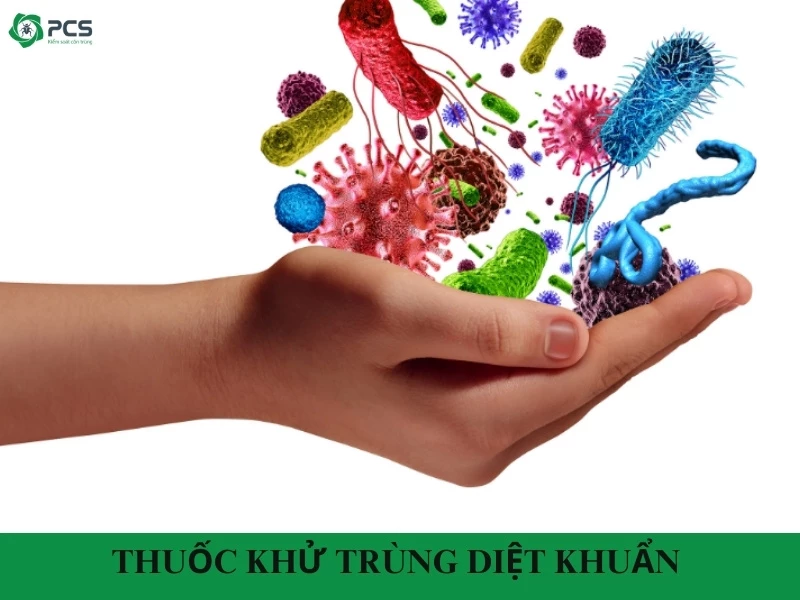 6 Loại thuốc khử trùng diệt khuẩn cực kỳ hiệu quả