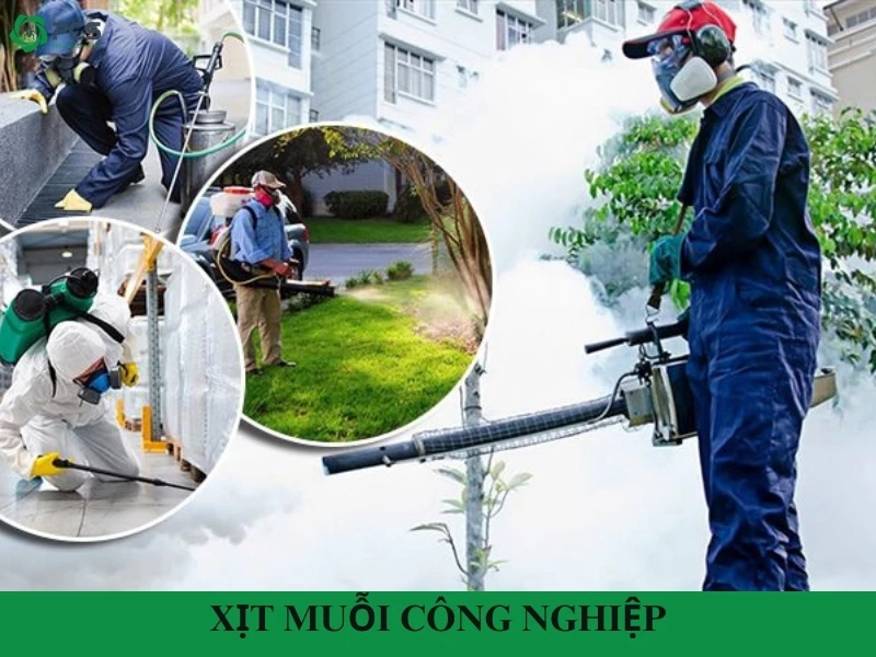 Dịch vụ xịt muỗi công nghiệp uy tín và chuyên nghiệp