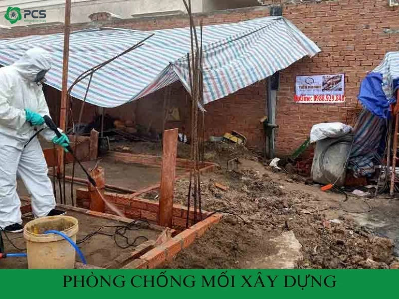 Khám phá quy trình phòng chống mối xây dựng hiệu quả