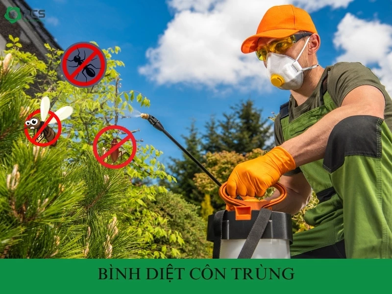 Bình diệt côn trùng và những điều cần lưu ý