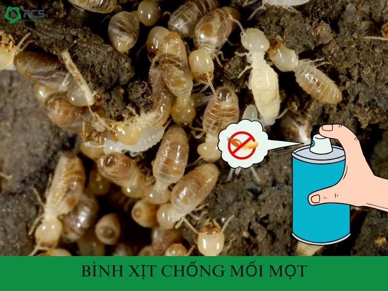 Bình xịt chống mối mọt có thật sự hiệu quả?