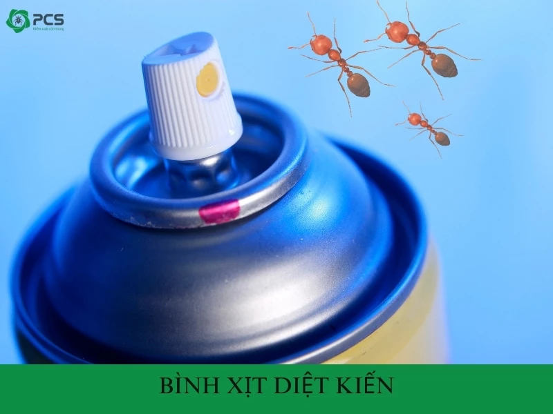 Các loại bình xịt diệt kiến tốt nhất hiện nay