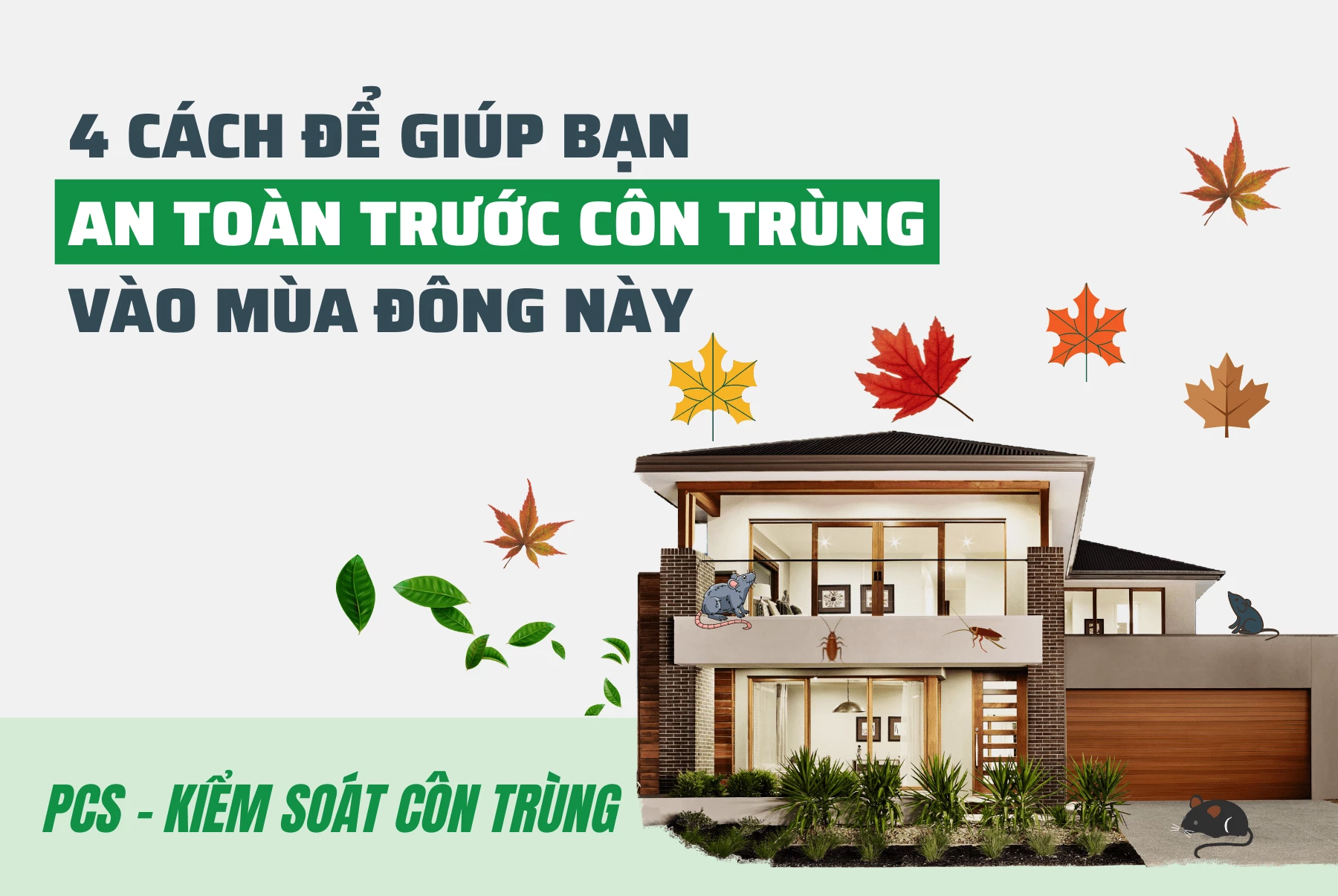 4 Cách giúp bạn ngăn ngừa Chuột và côn trùng vào mùa đông này