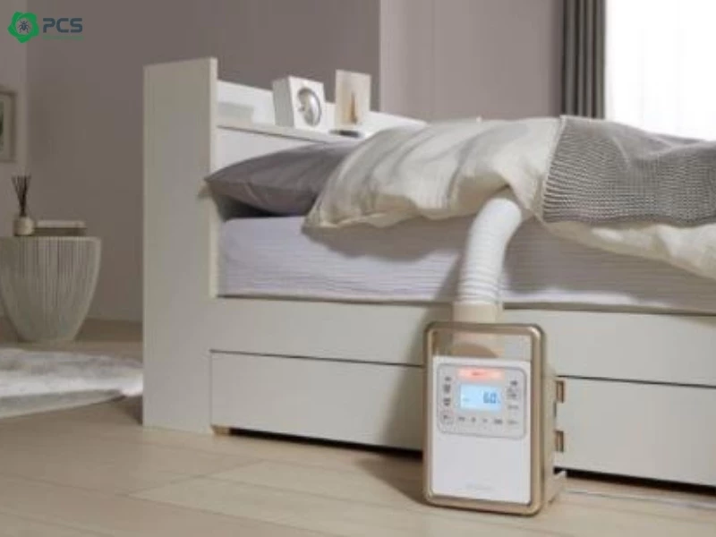 Cách diệt rệp trong nệm nhanh chóng và an toàn