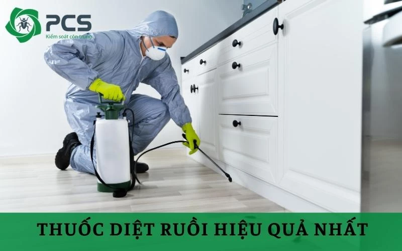 10 Loại thuốc diệt ruồi hiệu quả mà bạn nên xem