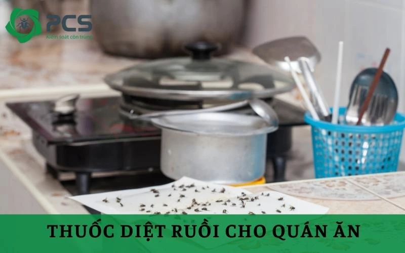 Cách chọn thuốc diệt ruồi cho quán ăn kinh doanh an toàn