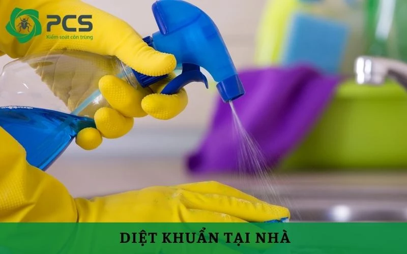 Hướng dẫn diệt khuẩn tại nhà để bảo vệ sức khỏe gia đình