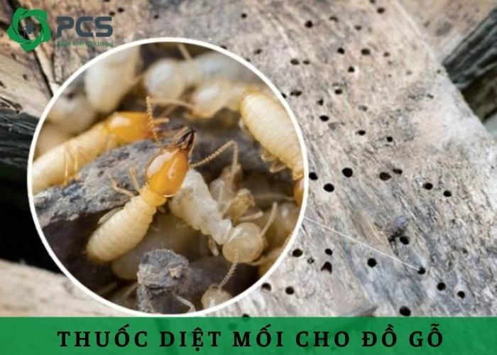 Các loại thuốc diệt mối cho đồ gỗ hiệu quả nhất