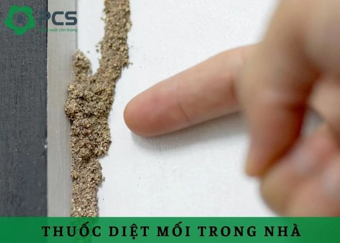 Hướng dẫn dùng thuốc diệt mối trong nhà hiệu quả, an toàn