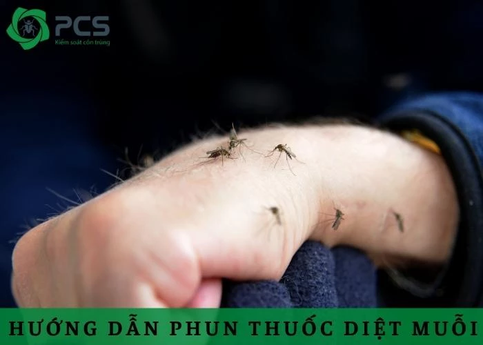 Hướng dẫn phun thuốc diệt muỗi an toàn & hiệu quả