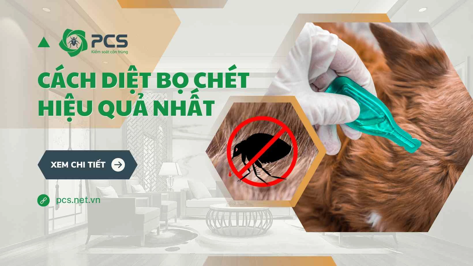 Cách hiệu quả nhất để diệt bọ chét trong nhà bạn