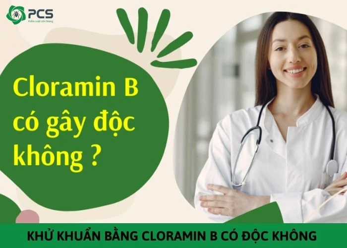 Khử khuẩn bằng cloramin b có độc không?