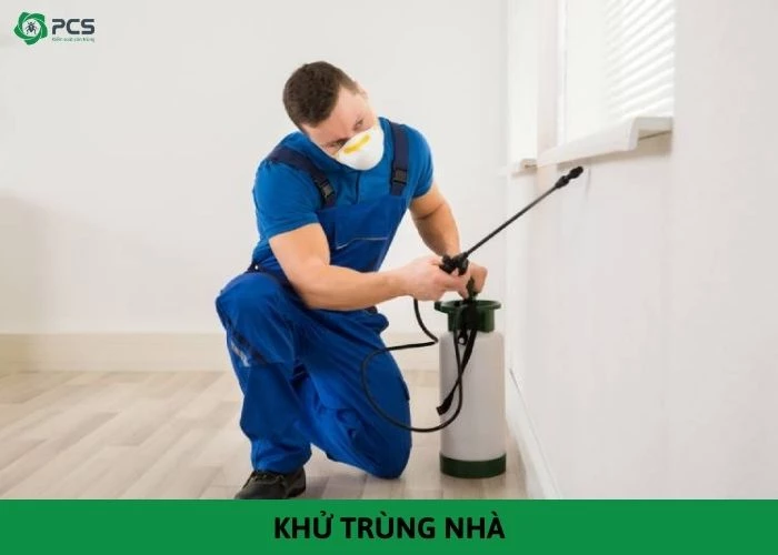 Khử trùng nhà ở | Tại sao nên thực hiện thường xuyên?