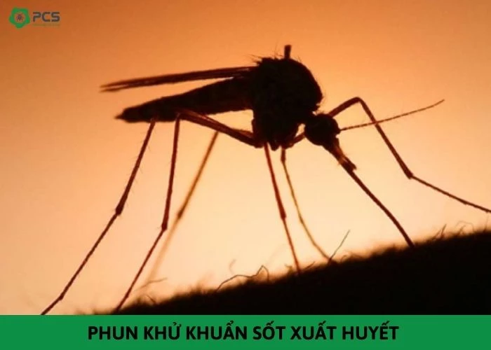 Phun khử khuẩn sốt xuất huyết trọn gói giá tốt