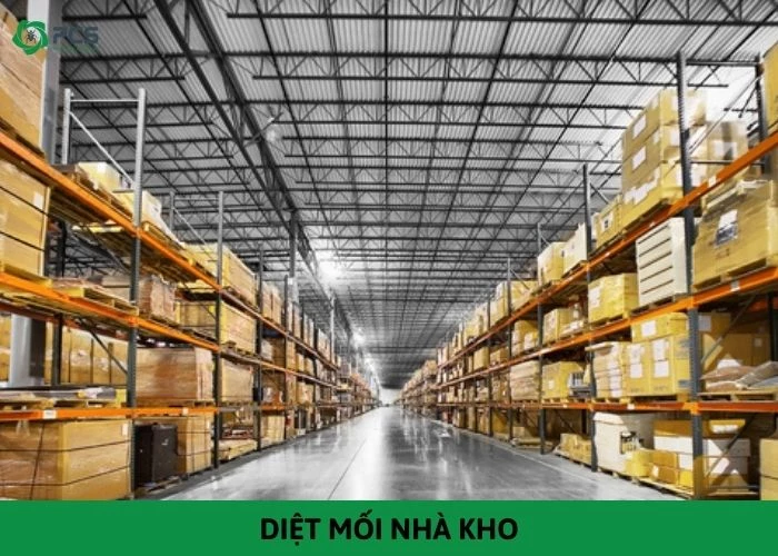 Hướng dẫn diệt mối nhà kho tận gốc và an toàn