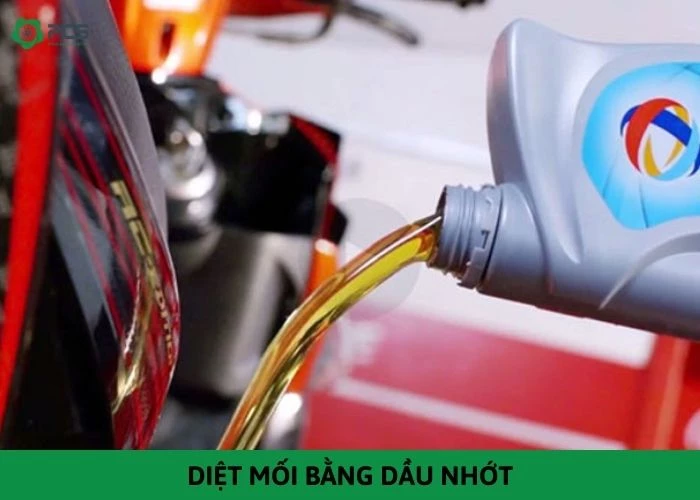 Diệt mối bằng dầu nhớt có hiệu quả không?