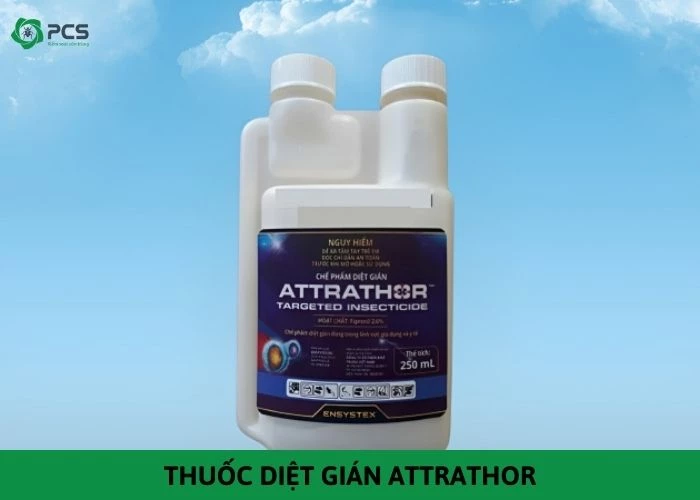 Hướng dẫn sử dụng thuốc diệt gián attrathor đúng cách