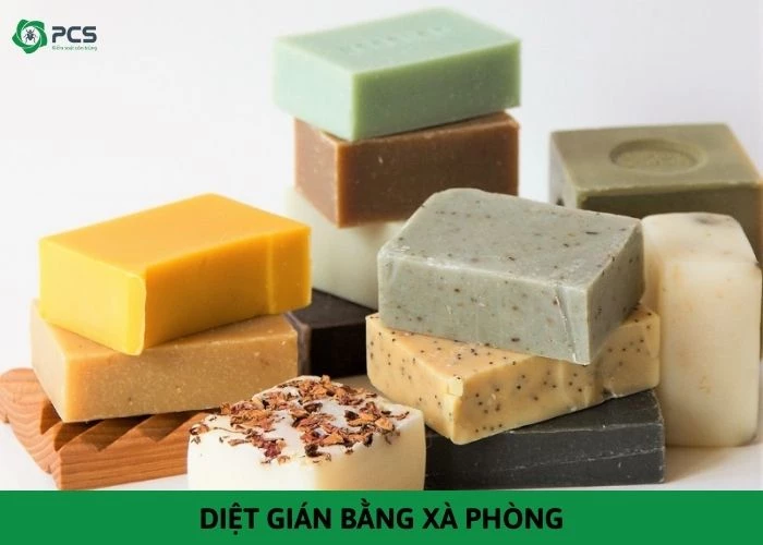 Hướng dẫn diệt gián bằng xà phòng hiệu quả tại nhà