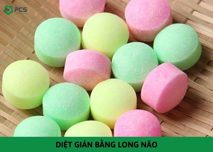 Hướng dẫn diệt gián bằng long não mà bạn nên xem