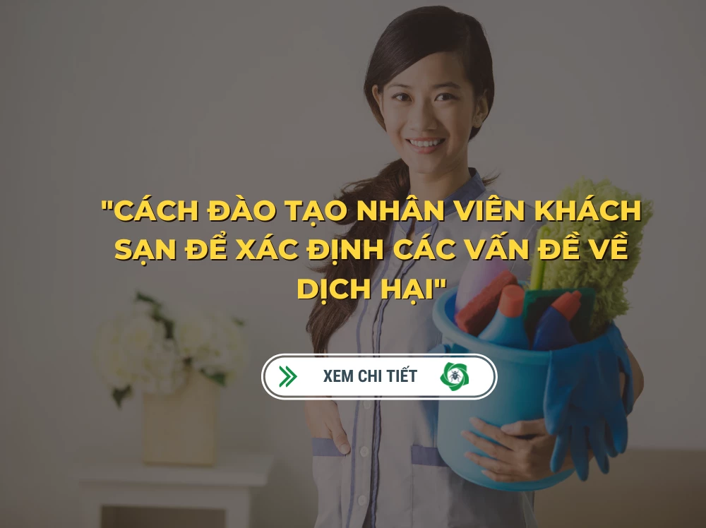 Cách đào tạo nhân viên khách sạn để xác định các vấn đề về dịch hại