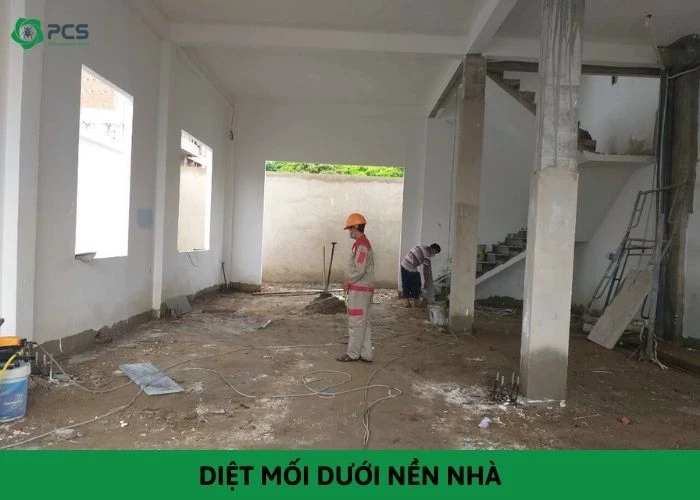 Giải pháp diệt mối dưới nền nhà hiệu quả