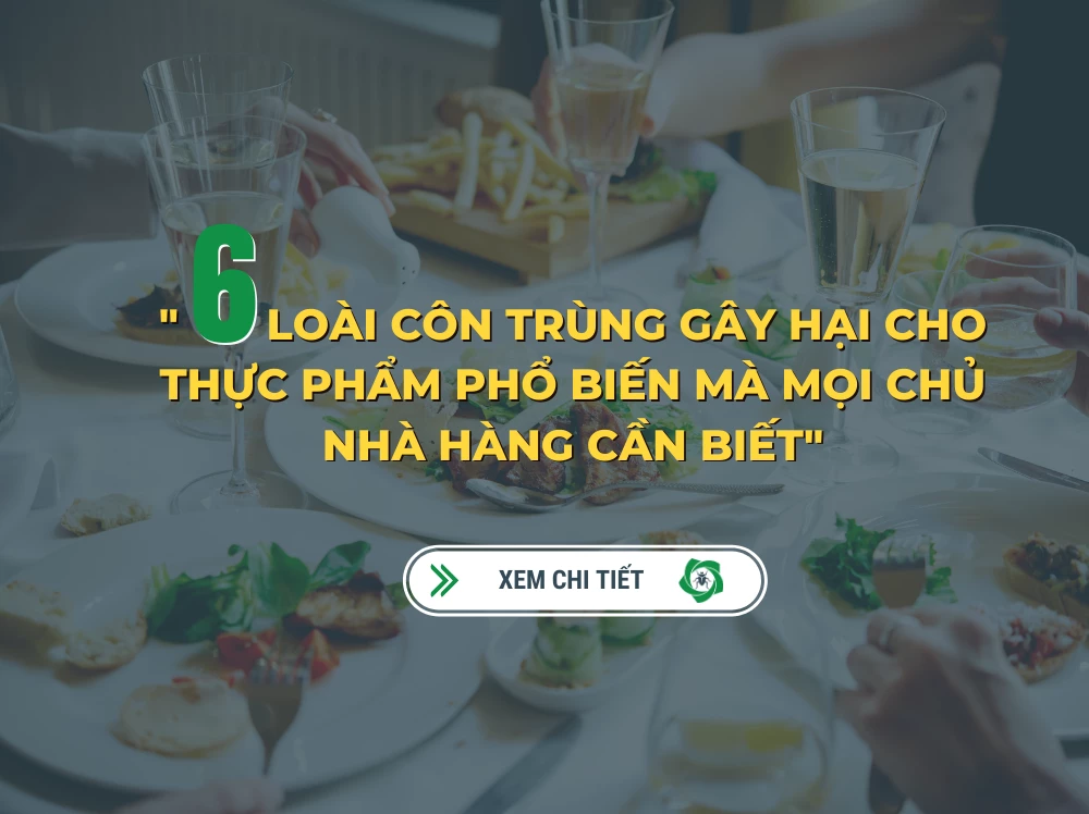NHỮNG LOÀI CÔN TRÙNG GÂY HẠI CHO THỰC PHẨM PHỔ BIẾN MÀ MỌI CHỦ NHÀ HÀNG CẦN BIẾT
