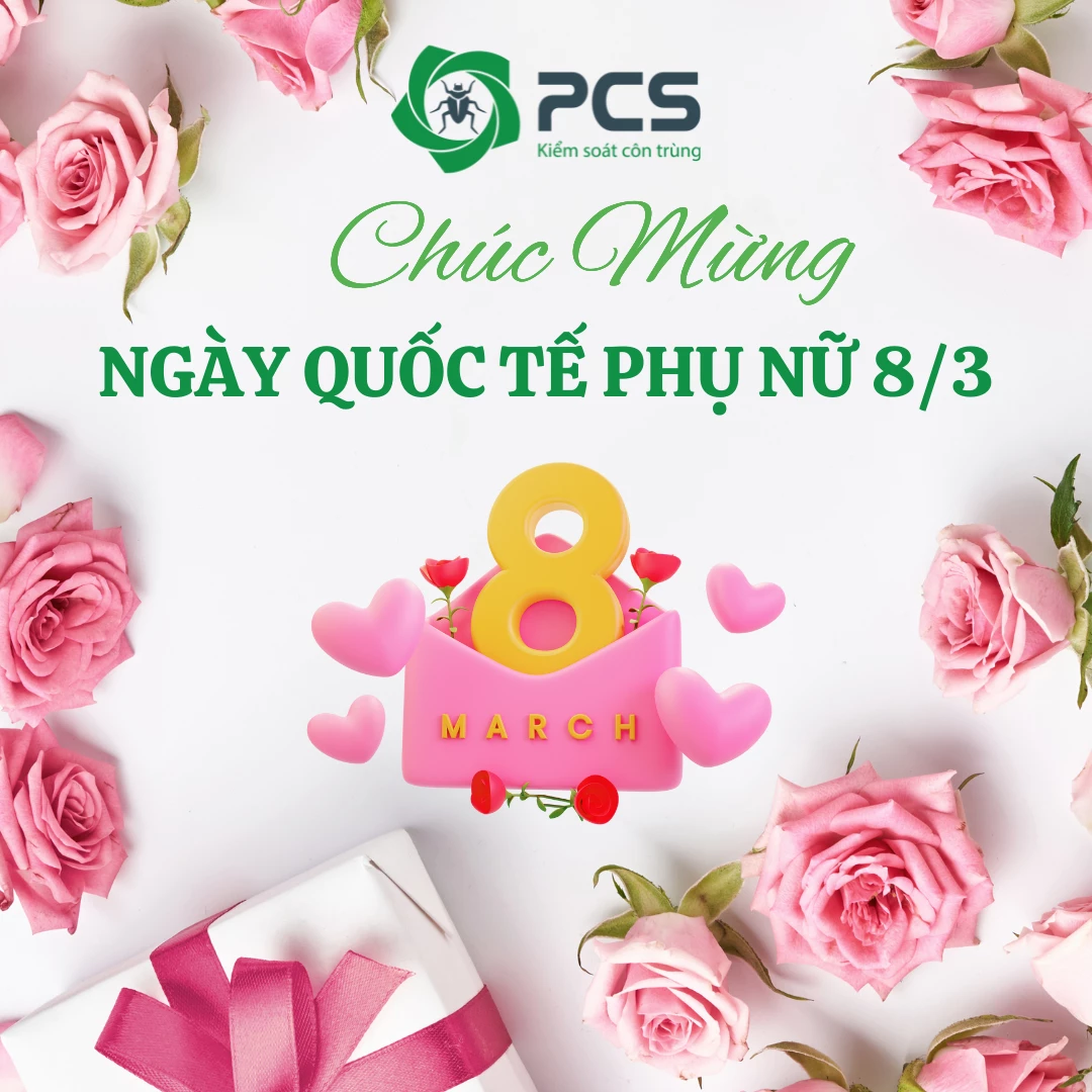 THƯ CHÚC MỪNG NGÀY QUỐC TẾ PHỤ NỮ 8/3