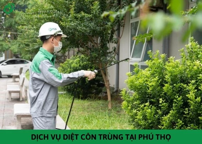 Dịch vụ diệt côn trùng tại Phú Thọ giá rẻ, diệt sạch 100%