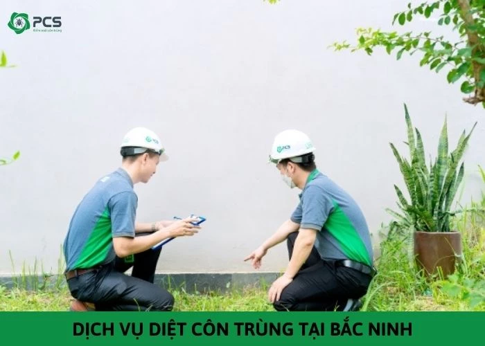 Dịch vụ diệt côn trùng tại Bắc Ninh giá rẻ nhất