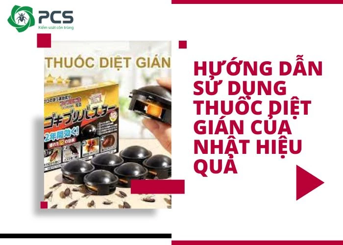 Hướng dẫn sử dụng thuốc diệt gián của Nhật hiệu quả