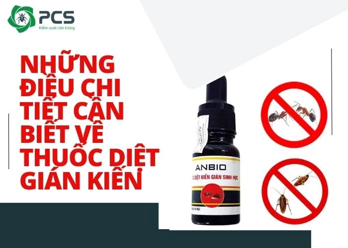 Thuốc diệt dán kiến: Những lưu ý trước khi dùng