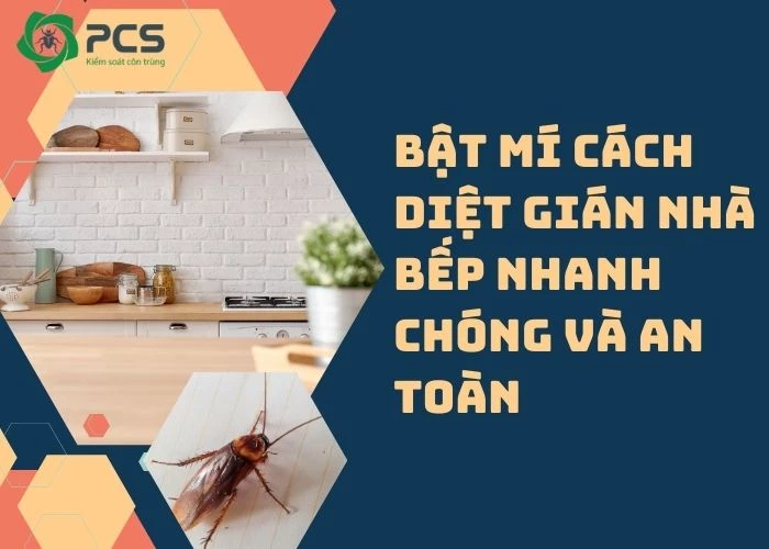 Hướng dẫn diệt gián nhà bếp nhanh chóng và an toàn